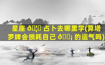 星座 🦍 占卜去哪里学(算塔罗牌会损耗自己 🐡 的运气吗)